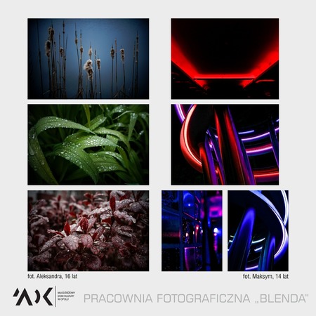 Blenda wystawa 2019