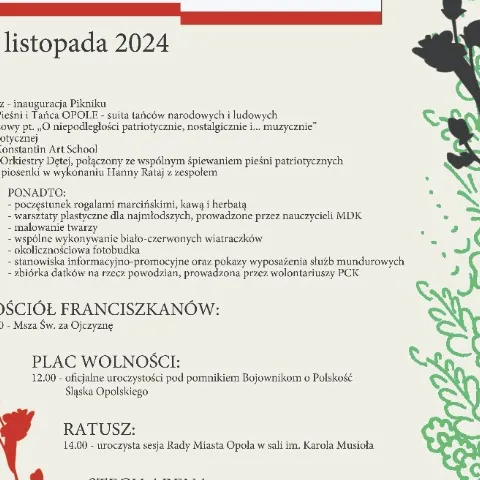 Piknik Niepodległościowy 2024 (plakat)